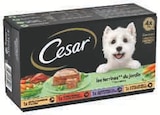 Repas humide pour chien - Cesar en promo chez Super U Repas humide pour chien - Cesar dans le catalogue Super U