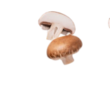 dtsch. Champignons, braun im Angebot bei Kaufland in Wolfsburg dtsch. Champignons, braun Angebote von Bioland bei Kaufland Wolfsburg für 1,79 €