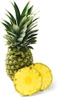 Ananas im Netto mit dem Scottie Prospekt Ananas im aktuellen Netto mit dem Scottie Prospekt für 1,89 €