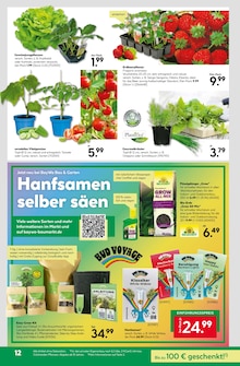 Salat im BayWa Bau- und Gartenmärkte Prospekt "Wunderschne Blütenpracht" mit 16 Seiten (Nürnberg)