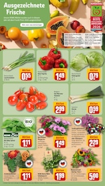 Paprika im REWE Prospekt in Hannover Aktueller REWE Prospekt mit Paprika, "Dein Markt", Seite 7
