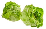 Aktuelle Salat Angebote bei REWE in Mannheim Aktuelles Kopfsalatherzen Angebot bei REWE in Mannheim ab 2,22 €
