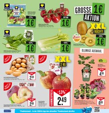 Paprika im aktuellen Marktkauf Prospekt (Ulm) Paprika im Marktkauf Prospekt "Aktuelle Angebote" mit 48 Seiten (Ulm)