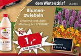 Sonderpreis Baumarkt Duderstadt Prospekt mit  im Angebot für 1,00 €