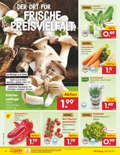Bio Lebensmittel im Netto Marken-Discount Prospekt in Regensburg Aktueller Netto Marken-Discount Prospekt mit Bio Lebensmittel, "Aktuelle Angebote", Seite 4