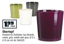 Übertopf bei OBI in Fürth Übertopf im Angebot bei OBI Fürth für 1,99 €
