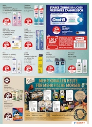 V-Markt Tierbedarf im Prospekt 