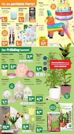 Aktueller Thomas Philipps Prospekt mit Tasche, "Top Angebote", Seite 4