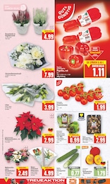 Blumen Angebot im aktuellen E center Prospekt auf Seite 4