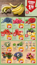 Apfel Angebot & Preis im aktuellen REWE Prospekt Apfel Angebot im aktuellen REWE Prospekt auf Seite 9