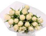 Chrysanthemen Angebote bei EDEKA Kiel für 3,99 €