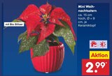 Mini Weihnachtsstern im Angebot bei Netto Marken-Discount in Fulda Mini Weihnachtsstern Angebote bei Netto Marken-Discount Fulda für 2,99 €