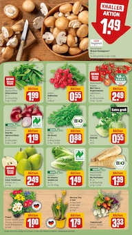 Pflanzen im REWE Prospekt "Dein Markt" mit 28 Seiten (Köln)