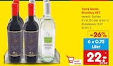 Torre Santa Primitivo IGT im aktuellen Netto Marken-Discount Prospekt