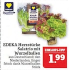 Aktuelles Salatrio mit Wurzelballen Angebot bei Marktkauf in Leipzig ab 1,99 €