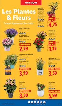 Promotion Cosmétiques Bio dans le prospectus Lidl, valable du 28/08/2025 au 03/09/2025 Promo Cosmétiques Bio dans le catalogue Lidl du moment à la page 27