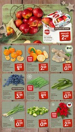 Ähnliche Rollrasen Angebote im Prospekt "nichts liegt näher" von nahkauf in Heidelberg Ähnliche Angebote wie Rollrasen im Prospekt "nichts liegt näher" auf Seite 3 von nahkauf in Heidelberg