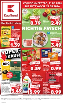 Persil im Kaufland Prospekt "Hier bin ich richtig" mit 63 Seiten (Leipzig)