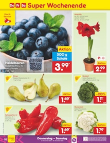 Paprika im Netto Marken-Discount Prospekt "Aktuelle Angebote" mit 56 Seiten (Leipzig)