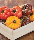 Tomate côtelée dans le catalogue Intermarché Super