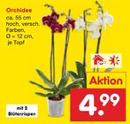 Angebot im Netto Marken-Discount Pößneck Prospekt Netto Marken-Discount Pößneck Prospekt mit im Angebot für 4,99 €