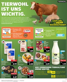 Schweinefleisch im Kaufland Prospekt "Aktuelle Angebote" mit 28 Seiten (Salzgitter)