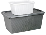 Box „Intrigo“ für 3,98 € bei Thomas Philipps im Angebot Box „Intrigo“ im aktuellen Thomas Philipps Prospekt