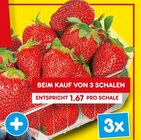 Erdbeeren Angebote bei Netto Marken-Discount Heilbronn für 1,99 €
