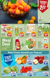 Ähnliche Sauerkraut Angebote im Prospekt "Dein Markt" von REWE in Brühl Ähnliche Angebote wie Sauerkraut im Prospekt "Dein Markt" auf Seite 8 von REWE in Brühl
