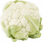 Angebot im EDEKA Tübingen Prospekt EDEKA Tübingen Prospekt mit im Angebot für 1,11 €