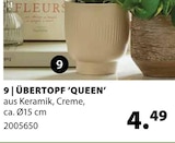 Dehner Garten-Center Maikammer Prospekt mit  im Angebot für 4,49 €