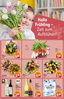 Blumen im REWE Prospekt "Dein Markt" mit 34 Seiten (Mönchengladbach)