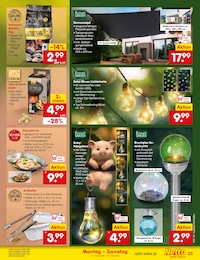 Garten im Netto Marken-Discount Prospekt "Aktuelle Angebote" auf Seite 33