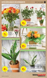 Offre Plantes dans le catalogue Intermarché du moment à la page 11