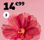 Fleur tige pavot - Gifi Fleur tige pavot à 14,99 € dans le catalogue Gifi