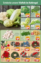 Ähnliche Zitronenbaum Angebote im Prospekt "Dein Markt" von REWE in Herne Ähnliche Angebote wie Zitronenbaum im Prospekt "Dein Markt" auf Seite 7 von REWE in Herne