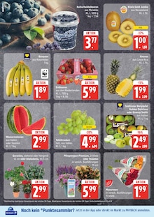 Erdbeeren im EDEKA Prospekt "Top Angebote" mit 23 Seiten (Lübeck)