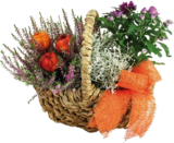 Bepflanzter Herbstkorb von Creatissimo für 14,99 € bei Globus-Baumarkt im Angebot Bepflanzter Herbstkorb von Creatissimo im aktuellen Globus-Baumarkt Prospekt