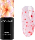 UV Nagellack Pure Spark Clear von NÉONAIL im aktuellen dm-drogerie markt Prospekt