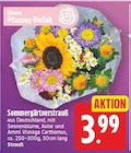 Sommergärtnerstrauß für 3,99 € bei E center im Angebot Sommergärtnerstrauß im aktuellen E center Prospekt