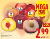 Aktuelle Nektarinen Angebote bei E center in Berlin Aktuelles Nektarinen gelbfleischig Angebot bei E center in Berlin ab 2,99 €