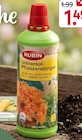 Universal-Pflanzendünger von Rubin im aktuellen Rossmann Prospekt für 1,49 €
