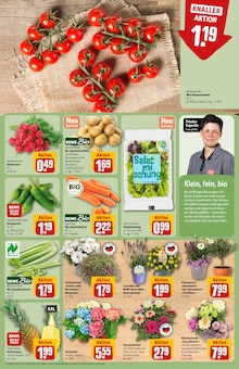 Tomaten im aktuellen REWE Prospekt (Neuss) Tomaten im REWE Prospekt "Dein Markt" mit 30 Seiten (Neuss)