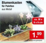 Aktuelles Blumenkasten Angebot bei Zimmermann in Bremen ab 1,99 €