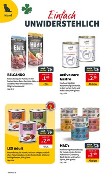 Aktueller Das Futterhaus Prospekt "NeujahrsANGEBOTE" Seite 2 von 12 Seiten