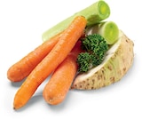 Suppengemüse Angebote bei Netto Marken-Discount Bremerhaven für 1,00 €