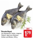 Dorade Royal Angebote bei EDEKA Lörrach für 1,79 €