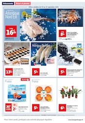 Fruits De Mer Angebote im Prospekt "SEPTEMBRE AU TOP" von Auchan Hypermarché auf Seite 24