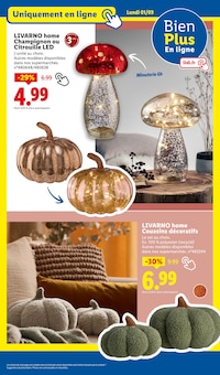 Promo Décoration Murale dans le catalogue Lidl du moment à la page 56