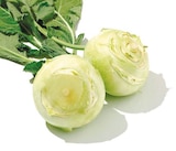 Kohlrabi für 0,45 € bei Netto mit dem Scottie im Angebot Kohlrabi im aktuellen Netto mit dem Scottie Prospekt
